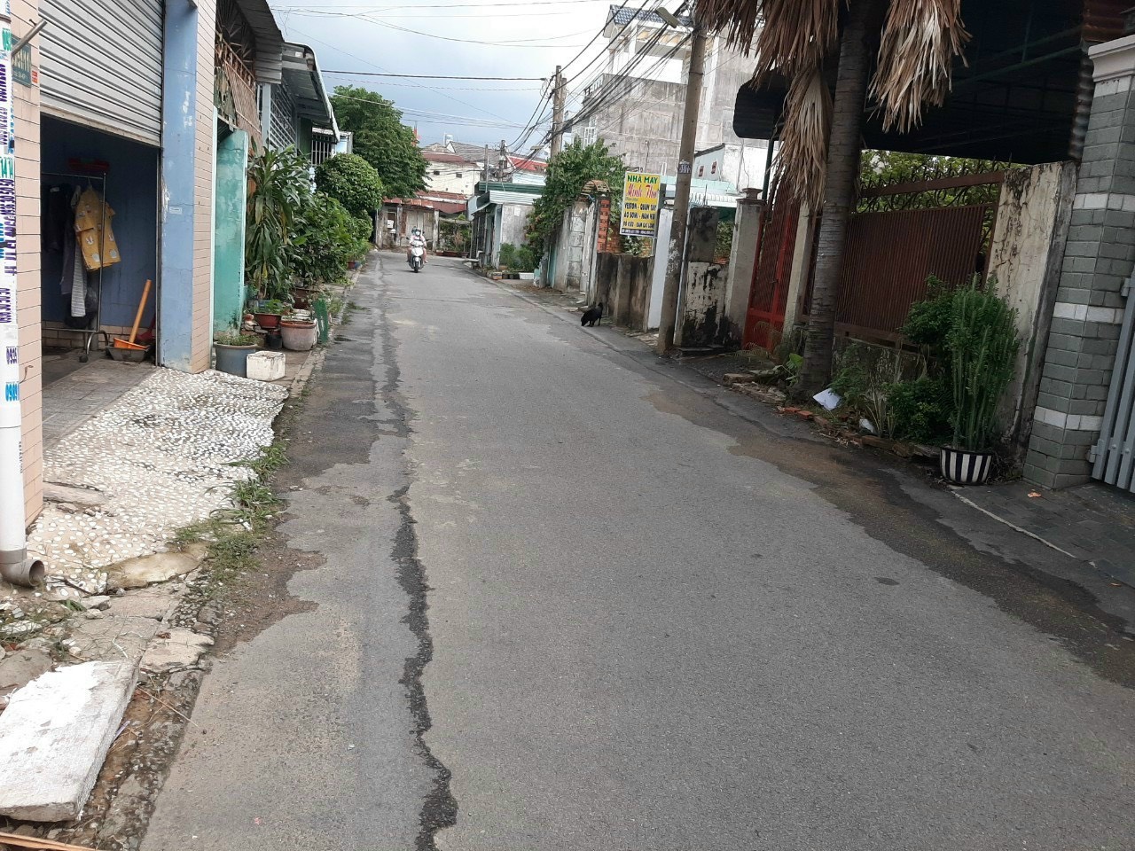 Biên Hòa, Đông Nai