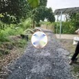 Đất Vườn Trồng Chanh Không Hạt Chính Chủ  Đông Thạnh - Châu THành - Hậu Giang