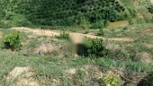 BÁN LÔ ĐẤT VIEW ĐẸP TẠI ĐĂK PLAO,HUYỆN ĐĂK GLONG,TỈNH ĐĂK NÔNG