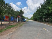 CHÍNH CHỦ BÁN ĐẤT THỔ CƯ TẠI LAI HƯNG - BÀU BÀNG - BÌNH DƯƠNG Bàu Bàng, Bình Dương