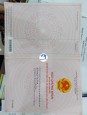 CHÍNH CHỦ BÁN ĐẤT THỔ CƯ TẠI PHƯỜNG TAM THUẬN - THANH KHÊ - ĐÀ NẴNG Thanh Khê, Đà Nẵng