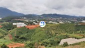  Lạc Dương, Lâm Đồng 