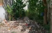 CHÍNH CHỦ BÁN ĐẤT  ĐƯỜNG ĐẶNG NGUYÊN CẨN,PHƯỜNG VINH TÂN,TP VINH,NGHỆ AN