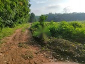 87M MẶT TIỀN ĐƯỜNG CHUẨN BỊ LÊN NHỰA TẠI ẤP TÂN NGHĨA,XÃ TÂN TIẾN,HUYỆN BÙ ĐỐP,
