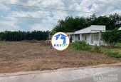 Ra gấp 1 sào đất 420triệu ở Đồng Tiến, Đồng Phú, Bình Phước.