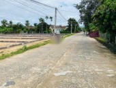 SIÊU PHẨM MẶT TIỀN ĐƯỜNG LIÊN XÃ QUY HOẠCH 20M  TẠI DIÊN BÌNH - HUYỆN DIÊN KHÁNH
