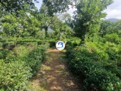  Đạ Huoai, Lâm Đồng 