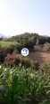 SIÊU PHẨM 3000M THỔ CƯ TẠI THU PHONG - CAO PHONG - TỈNH HOÀ BÌNH Cao Phong, Hòa Bình