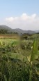 BÁN LÔ ĐẤT VIEW CỰC ĐẸP NGAY XÃ TÂN PHONG - CAO PHONG