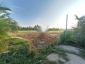 ĐẤT CHÍNH CHỦ CẦN BÁN TẠI BÌNH QUỚI - BÌNH PHỤC NHỨT - CHỢ GẠO - TIỀN GIANG