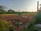 ĐẤT CHÍNH CHỦ CẦN BÁN TẠI BÌNH QUỚI - BÌNH PHỤC NHỨT - CHỢ GẠO - TIỀN GIANG