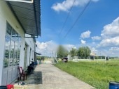 CHÍNH CHỦ BÁN GẤP ĐẤT VÀ NHÀ TẠI MỸ HẠNH NAM - ĐỨC HOÀ - LONG AN