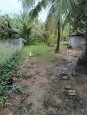 BÁN NHÀ VÀ ĐẤT CỰC ĐẸP TẠI XÃ LONG AN - HUYỆN CHÂU THÀNH - TIỀN GIANG