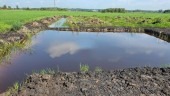 Bán hơn 2000m2 đất lâu năm tại Phú An - TX. Bến Cát