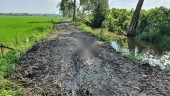 Bán hơn 2000m2 đất lâu năm tại Phú An - TX. Bến Cát