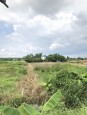 Mảnh vườn 2800m2 mặt tiền bê tông vuông vức