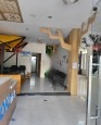 CC BÁN 2 CĂN LK 2 MT NGAY ĐƯỜNG BÙI QUÓC HƯNG VÀ MÂN QUANG 9 - SƠN TRÀ