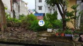  Đồ Sơn, Hải Phòng 