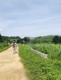 ĐẤT CHÍNH CHỦ CỰC ĐẸP TẠI XÓM CHUÔNG - MỸ HÒA - TÂN LẠC GIÁ ĐẦU TƯ SINH LỜI