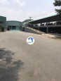  Bến Cát, Bình Dương 
