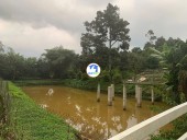  Bảo Lâm, Lâm Đồng 