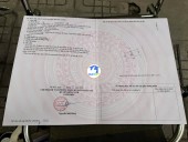 Chính chủ ra mắt siêu phảm  tại Bìa Đồng Thuỵ Lôi, Thuỵ Lâm, Đông Anh