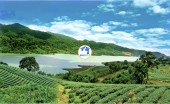 SUN VALLEY FARM – CƠ HỘI CHO NHÀ ĐẦU TƯ THỜI ĐIỂM VÀNG