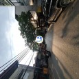 ???? An Cư Lạc Nghiệp Tại TT Trâu Quỳ: Lô Đất 35m² "Kim Cương" Mốc Giới Tuyệt