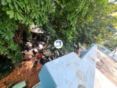 Tân Bình, Hồ Chí Minh