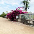 Cạnh đường nhựa Xuân Lộc – Long Khánh. TCSR. Giá ngộp chỉ 490tr.
