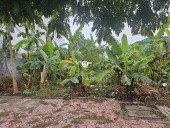 Cần bán lô đất đẹp thuộc khu đô thị quy hoạch bài bản phía Tây cầu Phú Lương. Hải Dương, Hải Dương
