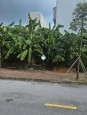Đất đô thị vị trí đẹp - phía Tây cầu Phú Lương. Hải Dương, Hải Dương