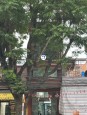 Biên Hòa, Đồng Nai