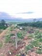 Đức Trọng, Lâm Đồng