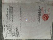 Bán đất thổ cư Tân Thạnh Đông, Củ Chi - mặt tiền đường nhựa -sổ riêng Củ Chi, Hồ Chí Minh