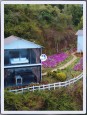 CHO THUÊ TỔ HỢP CAFE & HOMESTAY TẠI VẠN THÀNH, ĐÀ LẠT Đà Lạt, Lâm Đồng