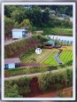 CHO THUÊ TỔ HỢP CAFE & HOMESTAY TẠI VẠN THÀNH, ĐÀ LẠT Đà Lạt, Lâm Đồng