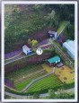 CHO THUÊ TỔ HỢP CAFE & HOMESTAY TẠI VẠN THÀNH, ĐÀ LẠT Đà Lạt, Lâm Đồng