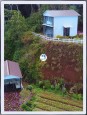 CHO THUÊ TỔ HỢP CAFE & HOMESTAY TẠI VẠN THÀNH, ĐÀ LẠT Đà Lạt, Lâm Đồng