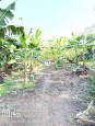 VỊ TRÍ ĐẸP - ĐẦU TƯ SINH LỜI - Chính Chủ Cần Bán Lô Đất Xã Sông Ray, Cẩm Mỹ,