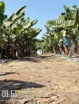 VỊ TRÍ ĐẸP - ĐẦU TƯ SINH LỜI - Chính Chủ Cần Bán Lô Đất Xã Sông Ray, Cẩm Mỹ,