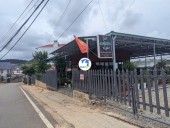 CHỦ KẸT TIỀN GẤP , CẦN BÁN NHANH 4 LÔ ĐẤT F0 TẠI LANGBIANG, ĐÀ LẠT, LÂM ĐỒNG