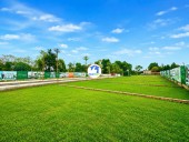 CHỈ HƠN 2 TỶ – SỞ HỮU NGAY LÔ ĐẤT 100M² THỔ CƯ, VỊ TRÍ ĐẸP TẠI PHÚ CÁT