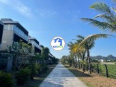 Biệt thự One River 2 mặt tiền Phú Mỹ An, 300m², view sông Cổ Cò, đường Song Hào
