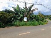 Bán gấp 3771m2 đất thổ cư tại Tân Lạc, Hòa Nam, Di Linh, Lâm Đồng. Sổ hồng