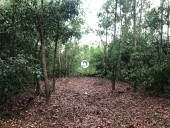 ĐẦU TƯ SINH LỜI- CHÍNH CHỦ BÁN GẤP 2 LÔ ĐẤT ĐẸP 1587m2-ODT- 11,5 Tỷ Tại Tân