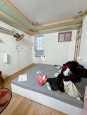 ► Kiệt 3m Phạm Văn Nghị gần BV Hoàn Mỹ, 50m2 ngang 5m, 2 tầng 3PN, 3.45 tỷ