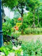 ???? HÉ LỘ PHIÊN BẢN GIỚI HẠN ROSA VILLAS – KHÔNG GIAN SỐNG DÀNH CHO CỘNG ĐỒNG