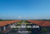 Đầu tư đất nền 2026: kinh nghiệm chọn đất sinh lời và tránh rủi ro