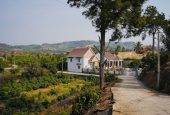 Đất Vùng Ven Hà Nội Giá Biến Động: Xu Hướng Mới Nhất